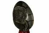 Septarian Dragon Egg Geode - Black Crystals #177418-4